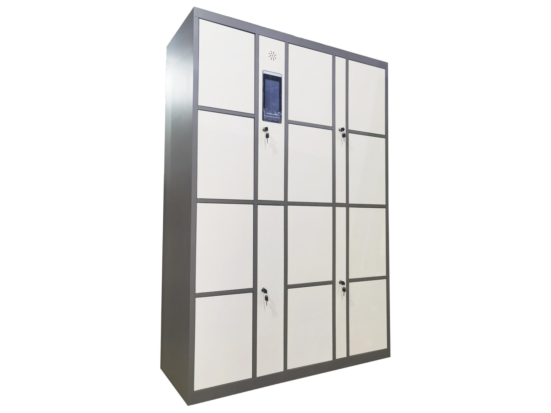 courier delivery locker