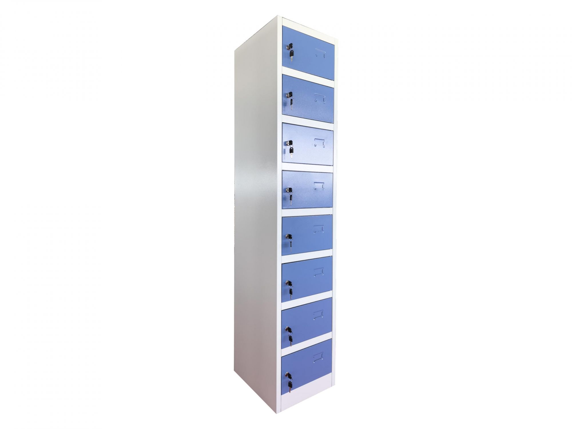 laptop locker with came lock